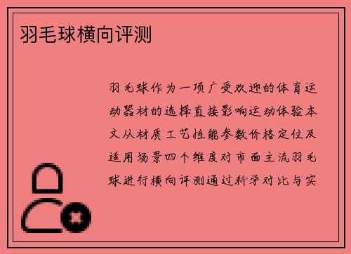 羽毛球横向评测